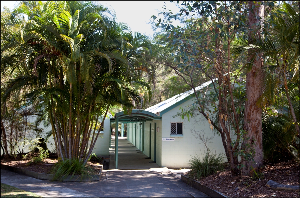 Banksia accommodation